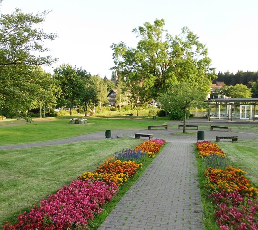 Premium-Ferienwohnungen Bergblick Im Haus Hopfe Goslar Kültér fotó
