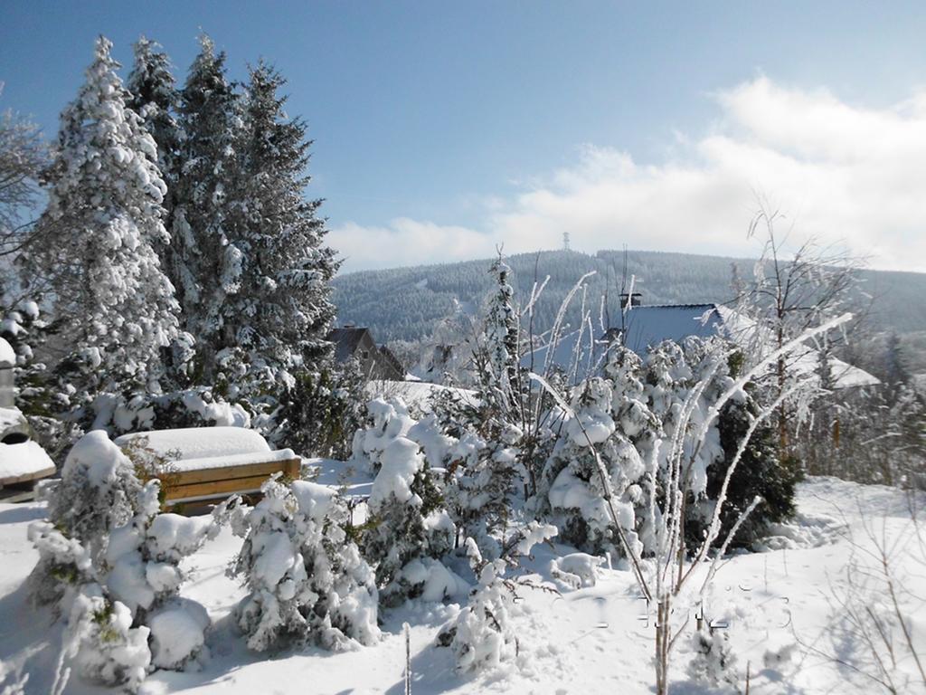 Premium-Ferienwohnungen Bergblick Im Haus Hopfe Goslar Kültér fotó