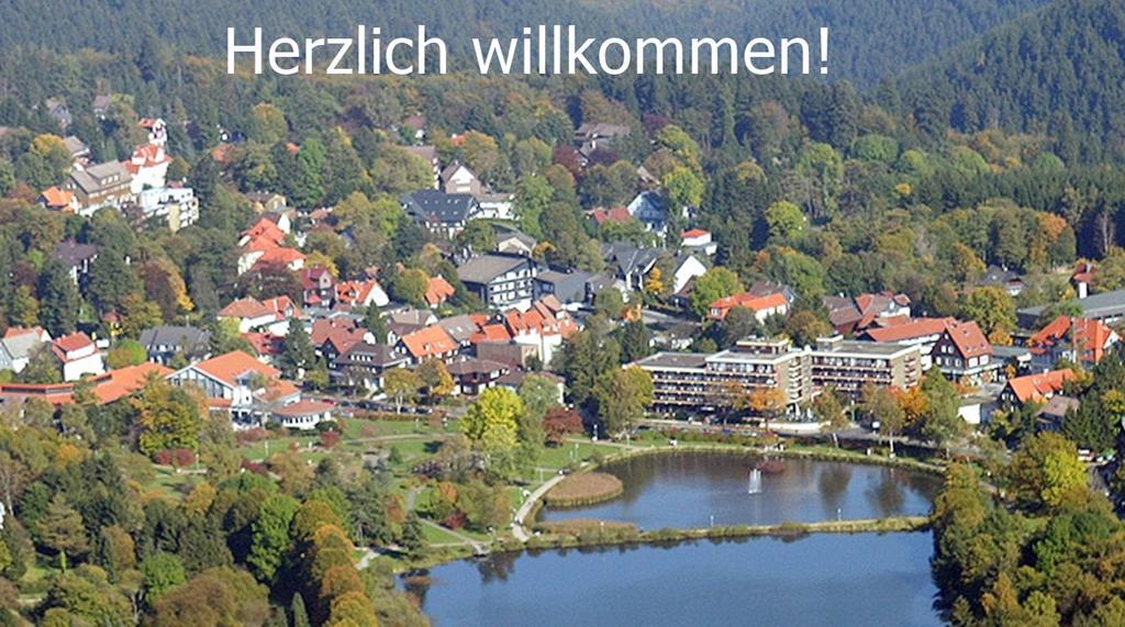 Premium-Ferienwohnungen Bergblick Im Haus Hopfe Goslar Kültér fotó